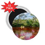 CANO CRISTALES 3 2.25  Magnets (10 pack)  Front