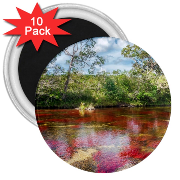 CANO CRISTALES 3 3  Magnets (10 pack) 