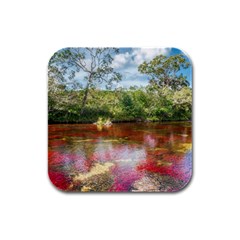 Cano Cristales 3 Rubber Square Coaster (4 Pack)  by trendistuff