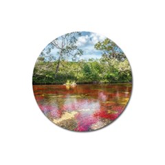 Cano Cristales 3 Magnet 3  (round) by trendistuff