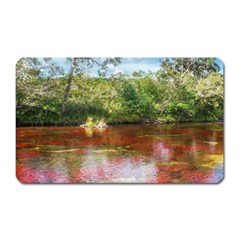 Cano Cristales 3 Magnet (rectangular) by trendistuff