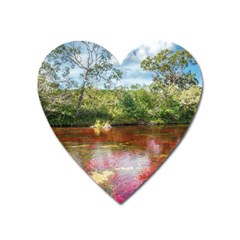 Cano Cristales 3 Heart Magnet by trendistuff