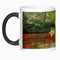 Cano Cristales 3 Morph Mugs by trendistuff