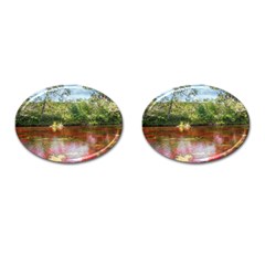 Cano Cristales 3 Cufflinks (oval) by trendistuff