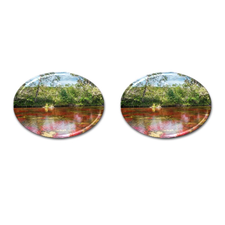 CANO CRISTALES 3 Cufflinks (Oval)