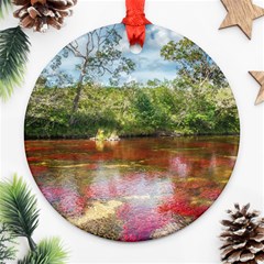 Cano Cristales 3 Round Ornament (two Sides)  by trendistuff