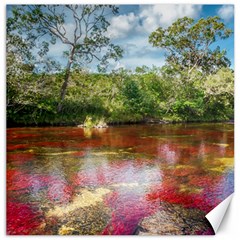 Cano Cristales 3 Canvas 16  X 16   by trendistuff