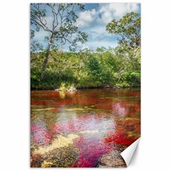 Cano Cristales 3 Canvas 24  X 36 