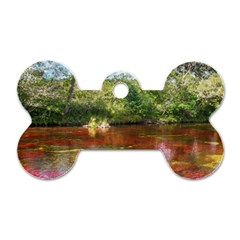 Cano Cristales 3 Dog Tag Bone (one Side) by trendistuff