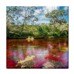 Cano Cristales 3 Face Towel