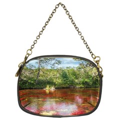 Cano Cristales 3 Chain Purses (two Sides)  by trendistuff