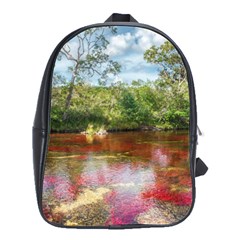 Cano Cristales 3 School Bags(large)  by trendistuff