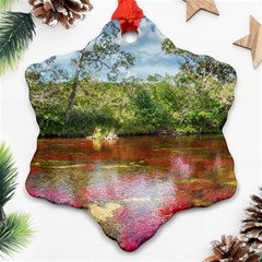 Cano Cristales 3 Ornament (snowflake)  by trendistuff