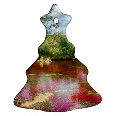 Cano Cristales 3 Ornament (christmas Tree) by trendistuff