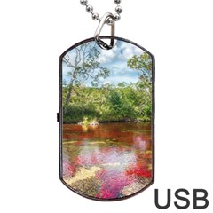 Cano Cristales 3 Dog Tag Usb Flash (one Side)