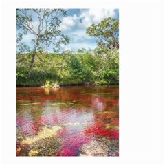 Cano Cristales 3 Small Garden Flag (two Sides) by trendistuff