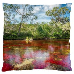 Cano Cristales 3 Large Flano Cushion Cases (one Side) 