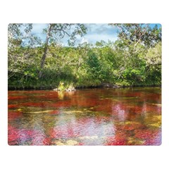 Cano Cristales 3 Double Sided Flano Blanket (large) 