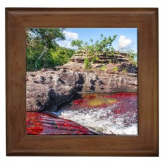 Cano Cristales 2 Framed Tiles