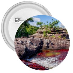 Cano Cristales 2 3  Buttons by trendistuff