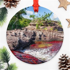 Cano Cristales 2 Ornament (round)  by trendistuff