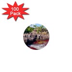 CANO CRISTALES 2 1  Mini Magnets (100 pack)  Front