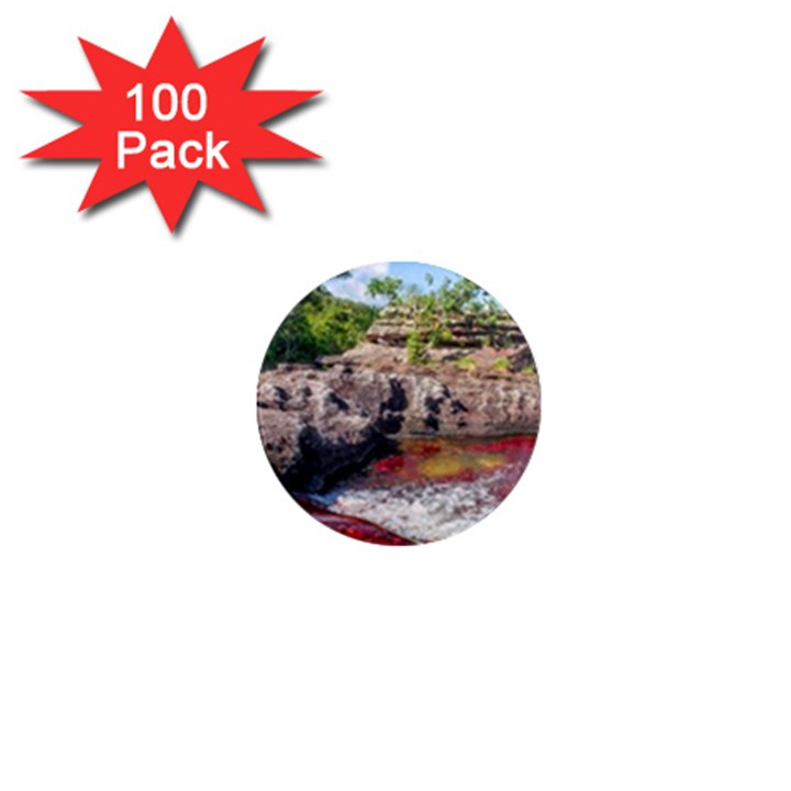 CANO CRISTALES 2 1  Mini Magnets (100 pack) 