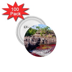 Cano Cristales 2 1 75  Buttons (100 Pack) 