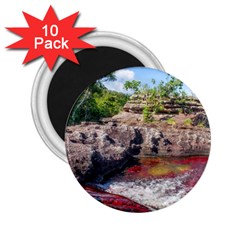 Cano Cristales 2 2 25  Magnets (10 Pack) 