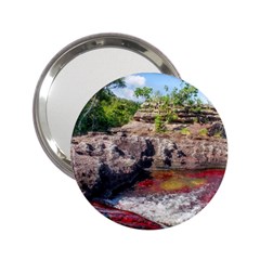 Cano Cristales 2 2 25  Handbag Mirrors by trendistuff