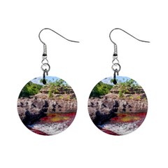 Cano Cristales 2 Mini Button Earrings by trendistuff