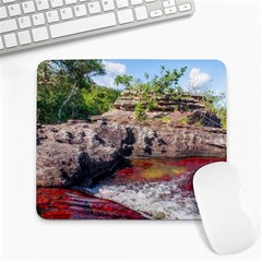 Cano Cristales 2 Large Mousepads by trendistuff