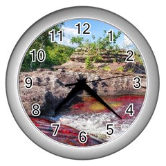 Cano Cristales 2 Wall Clocks (silver)  by trendistuff