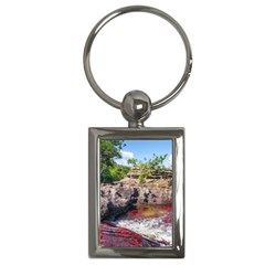 Cano Cristales 2 Key Chains (rectangle)  by trendistuff