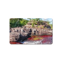 Cano Cristales 2 Magnet (name Card) by trendistuff