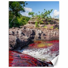 Cano Cristales 2 Canvas 12  X 16  