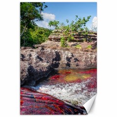 Cano Cristales 2 Canvas 12  X 18   by trendistuff