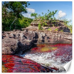 Cano Cristales 2 Canvas 20  X 20   by trendistuff