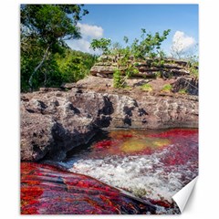 Cano Cristales 2 Canvas 20  X 24  