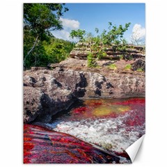 Cano Cristales 2 Canvas 36  X 48   by trendistuff