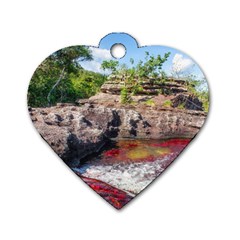 Cano Cristales 2 Dog Tag Heart (one Side)