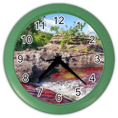 Cano Cristales 2 Color Wall Clocks by trendistuff