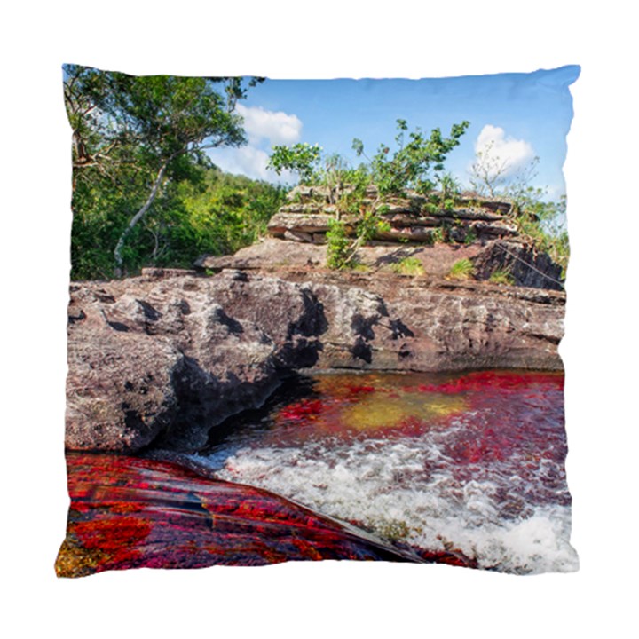 CANO CRISTALES 2 Standard Cushion Cases (Two Sides) 