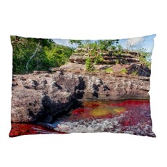 Cano Cristales 2 Pillow Cases