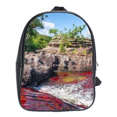 Cano Cristales 2 School Bags(large)  by trendistuff