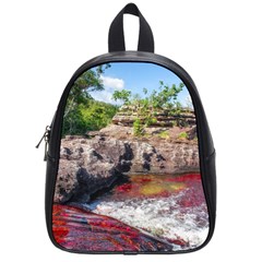 Cano Cristales 2 School Bags (small)  by trendistuff