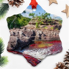 Cano Cristales 2 Snowflake Ornament (2-side) by trendistuff