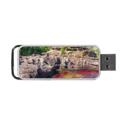 Cano Cristales 2 Portable Usb Flash (two Sides)