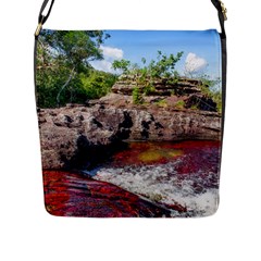 Cano Cristales 2 Flap Messenger Bag (l)  by trendistuff