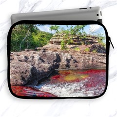 Cano Cristales 2 Apple Ipad 2/3/4 Zipper Cases by trendistuff